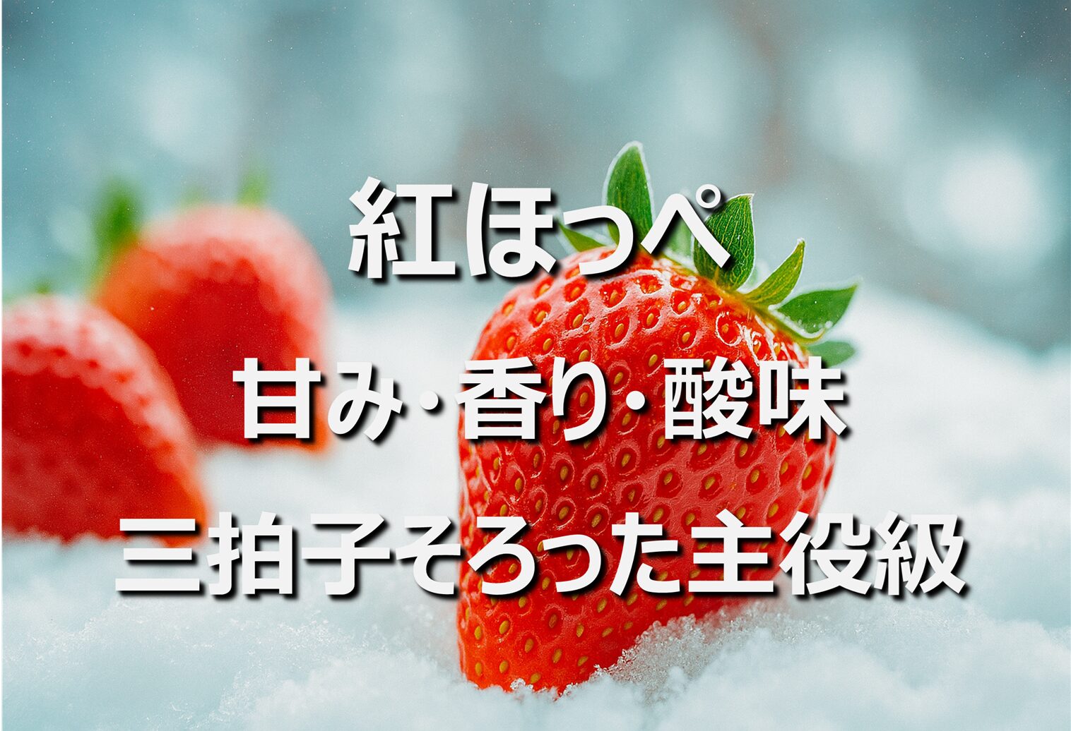 【苺＿紅ほっぺ】静岡名産・旬の時期│大粒で香り豊かな人気いちご