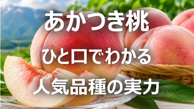 【あかつき桃】福島名産・旬の時期・特徴・食べ方を徹底解説