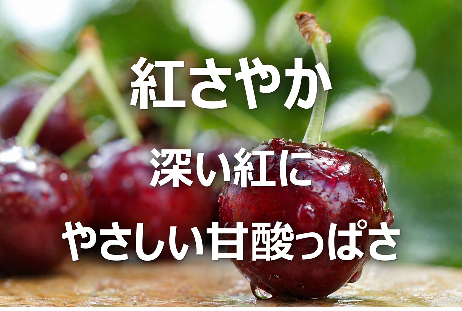 【紅さやか│黒色さくらんぼ】山形名産・旬の時期・特徴・選び方