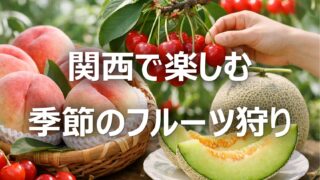 【関西の果物フルーツ狩りおすすめ特集】桃・さくらんぼ・メロン