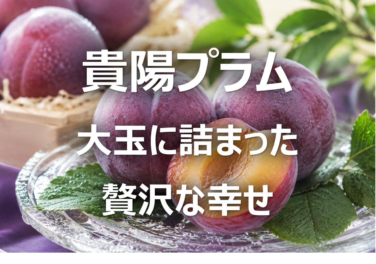 【貴陽プラム│幻のすもも】山梨名産・旬の時期・特徴・食べ方