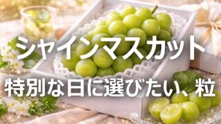 【シャインマスカット│ご褒美ぶどう】山梨名産・旬の時期・選び方