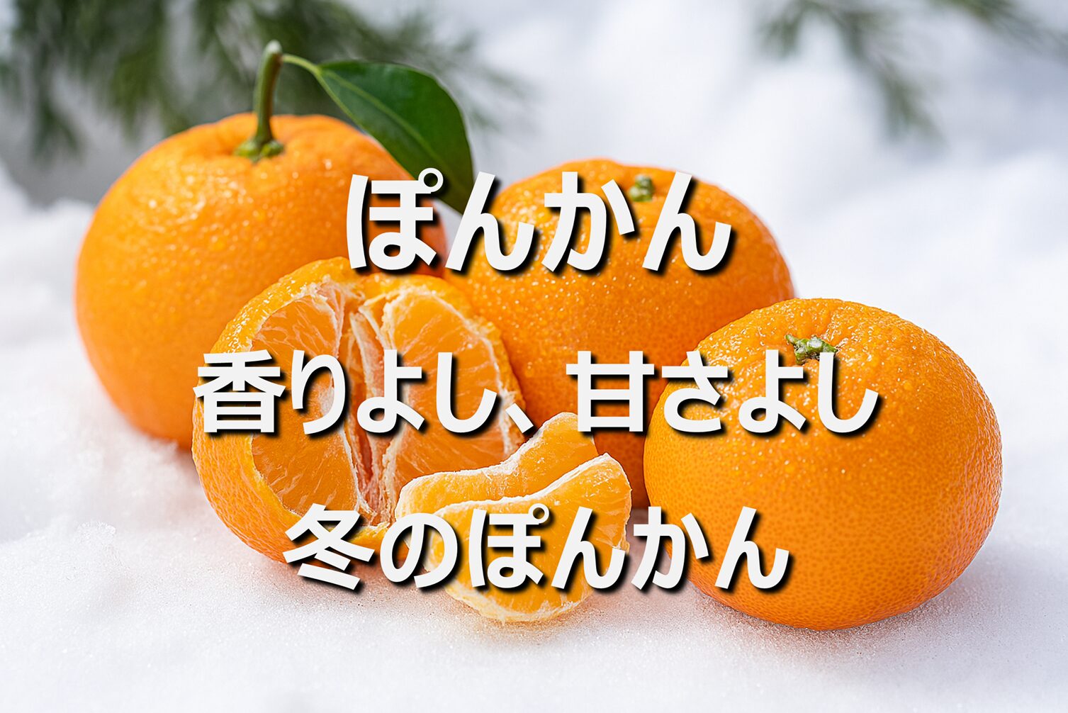 【ぽんかん】愛媛名産・旬の時期｜甘さ香り豊かな冬の人気柑橘