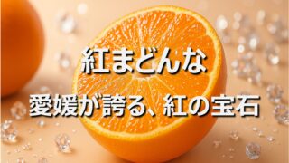【紅まどんな】愛媛名産・旬の時期｜愛媛限定の冬柑橘を徹底解説