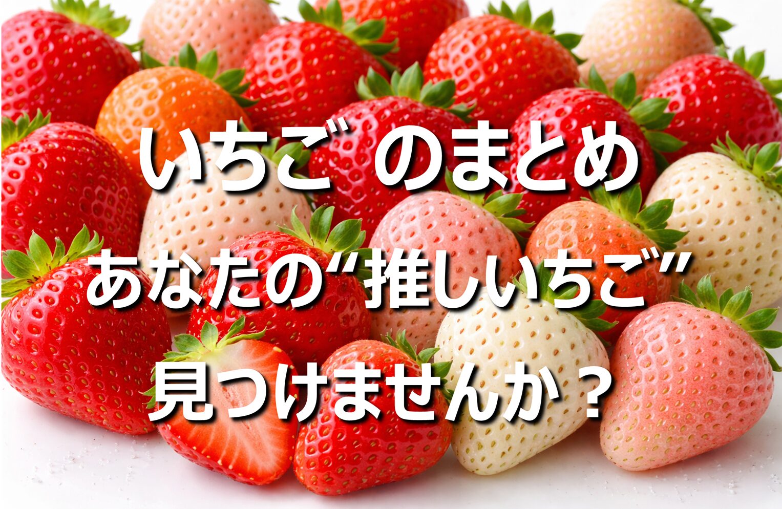 【甘いいちごの選び方】人気品種の違い│味・旬・特徴まとめ
