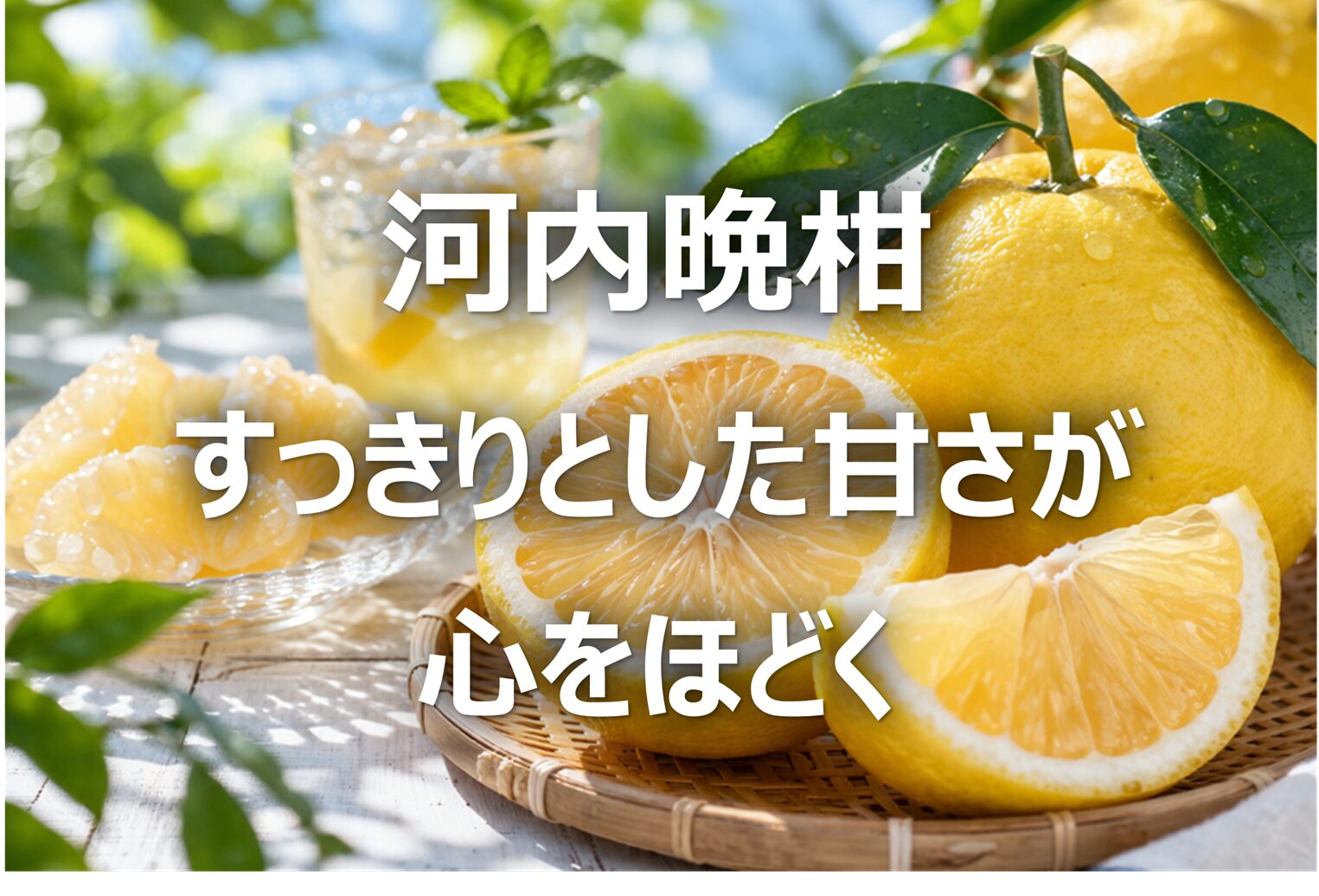 【河内晩柑│初夏の柑橘】愛媛名産・旬の時期・食べ方と栄養